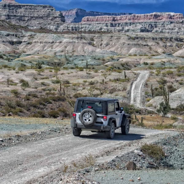 A History of the Wrangler – Old Jeeps for Sale