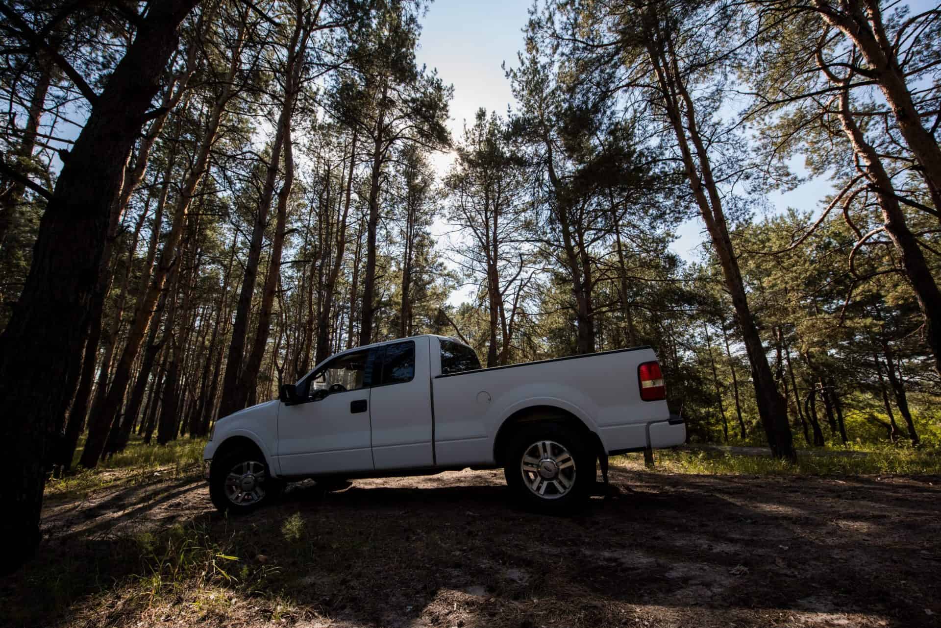 Black Widow Truck for Sale at Ultimate Rides