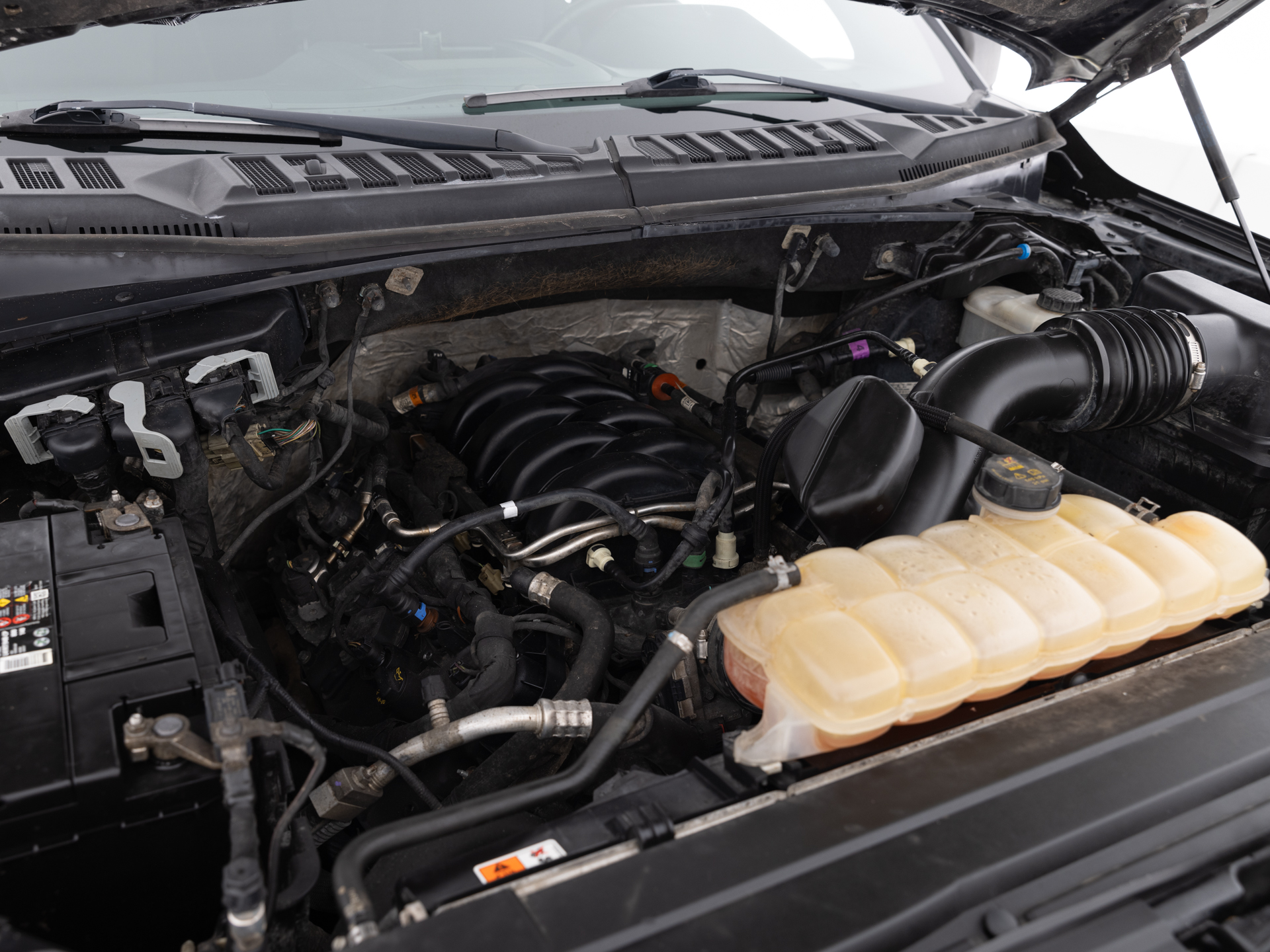 Used Black Ford F-150 XLT-31 for Sale