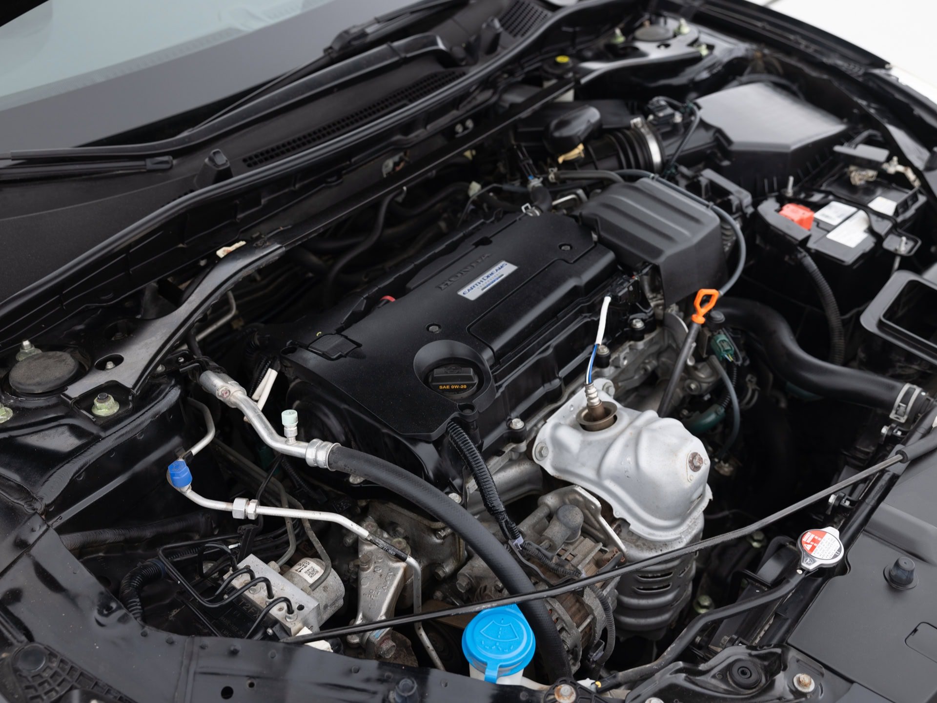 black honda accord sport 31