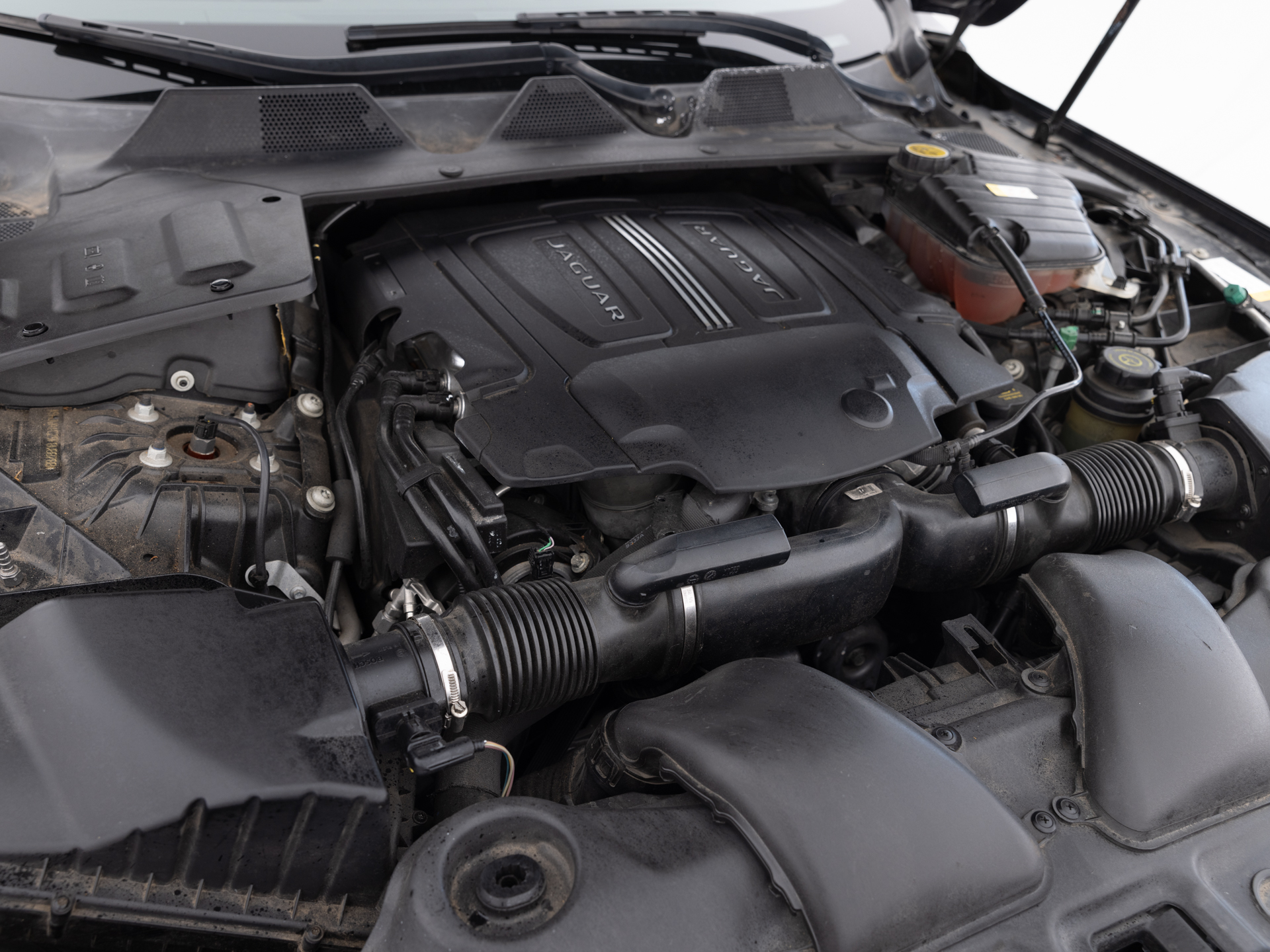 Used Black Jaguar XJ-31 for Sale