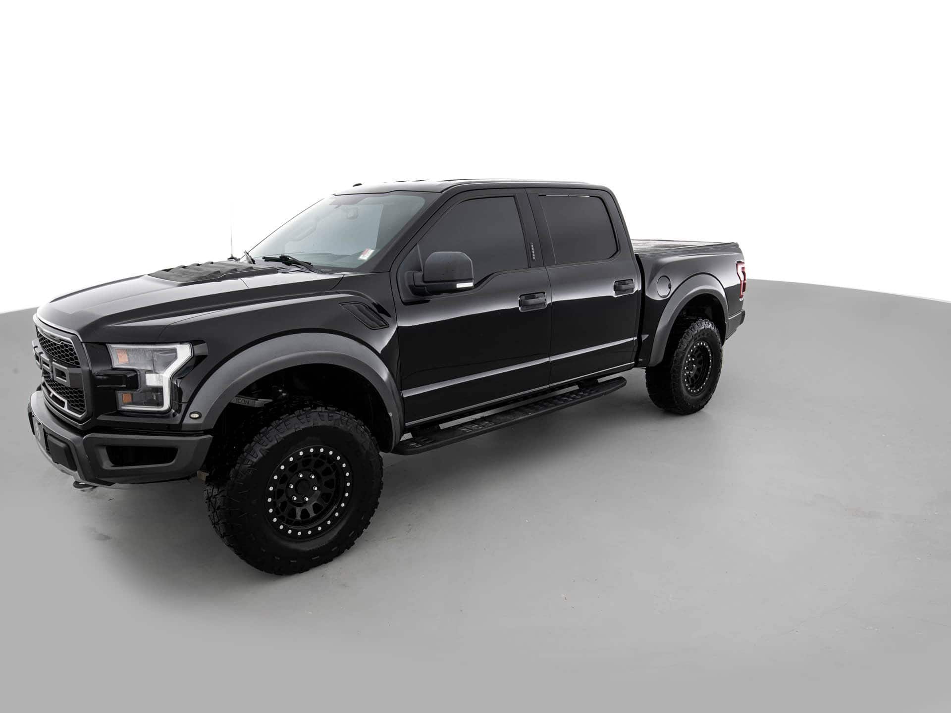 raptor 8