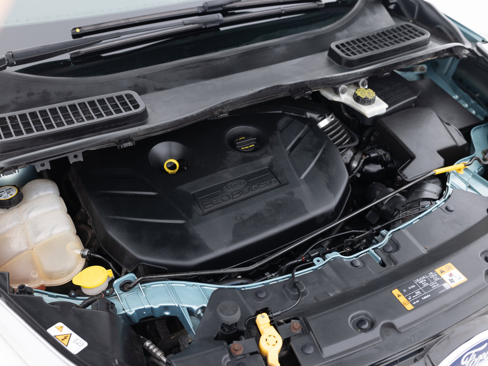 Used Teal Ford Escape Sport_-33 for Sale