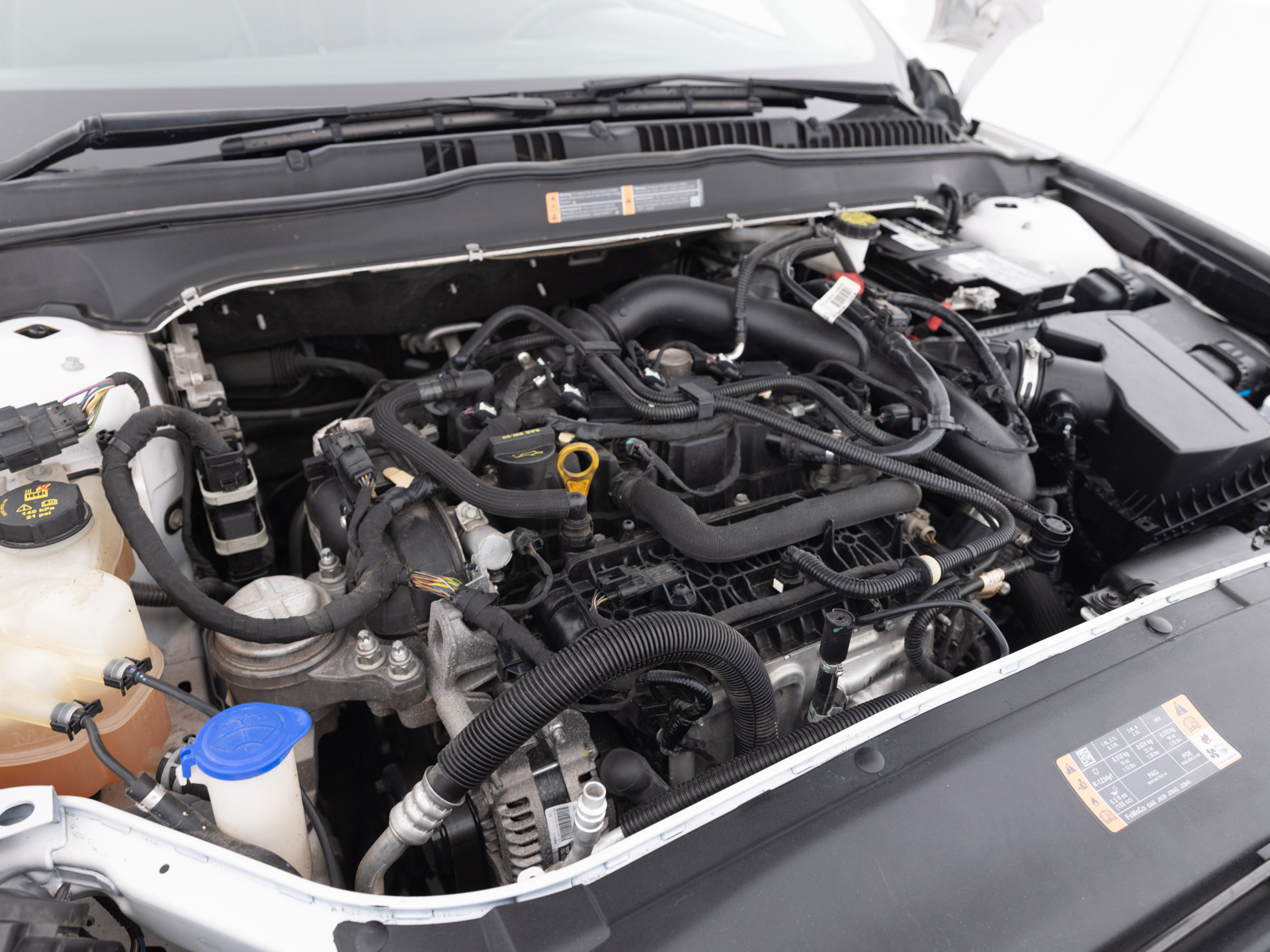 Used White Ford Fusion SE-29 for Sale